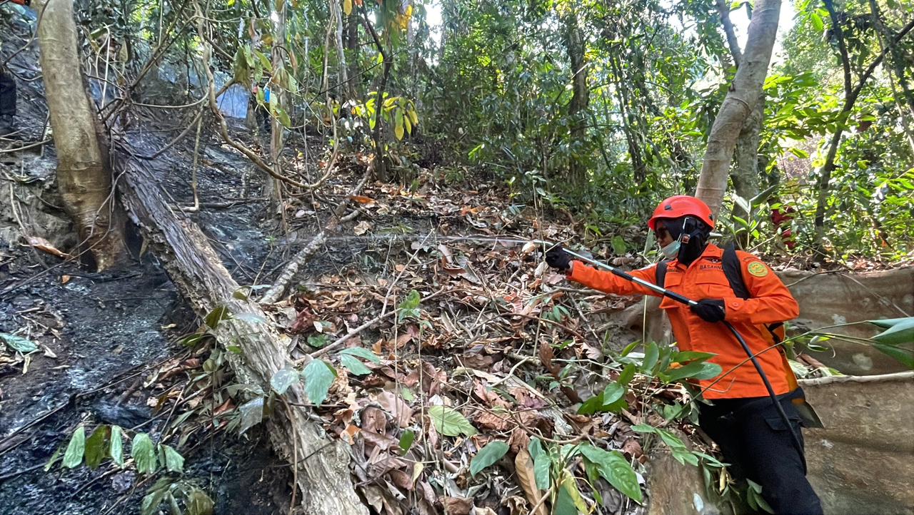 Tim SAR Gabungan Lanjutkan Pemadaman Karhutla di Desa Sibualong, Donggala
